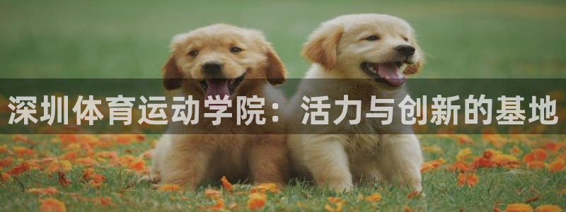 三亿体育网页版：深圳体育运动学院：活力与创新的基地