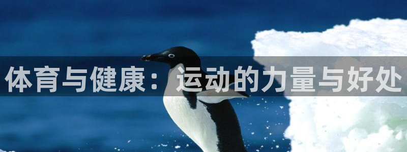 三亿体育登录：体育与健康：运动的力量与好处