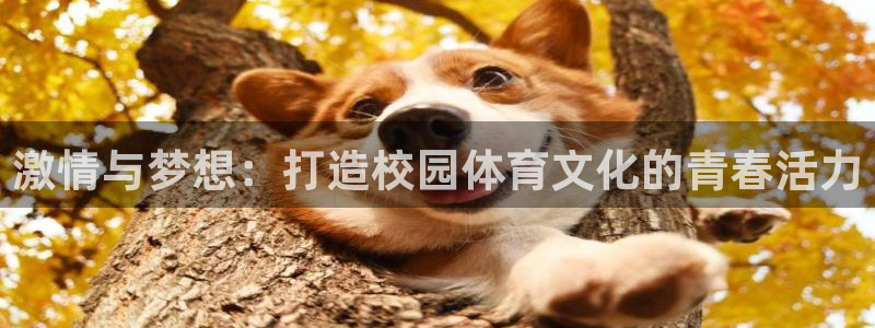 三亿体育网页版：激情与梦想：打造校园体育文化的青春活力