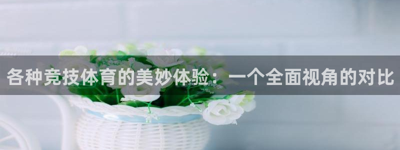 三亿体育网