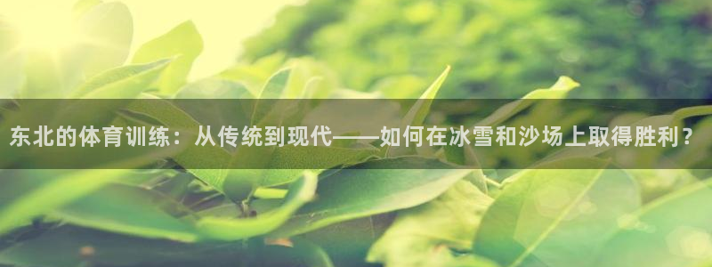 三亿体育登录