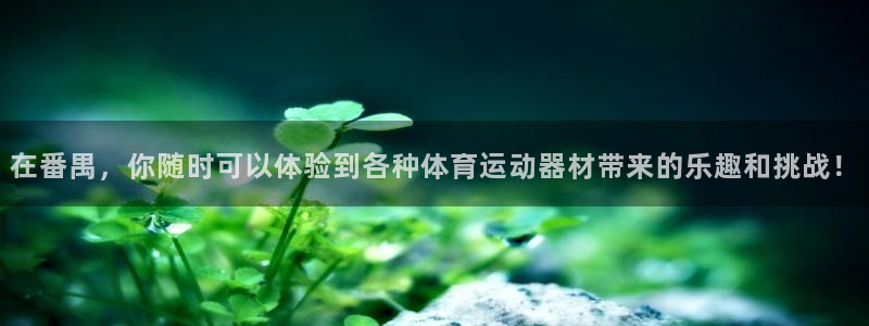 三亿体育网：在番禺，你随时可以体验到各种体育运动器材带来的乐趣和挑战！