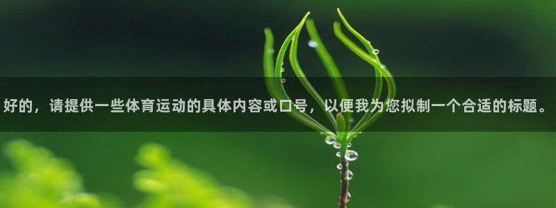 三亿体育网