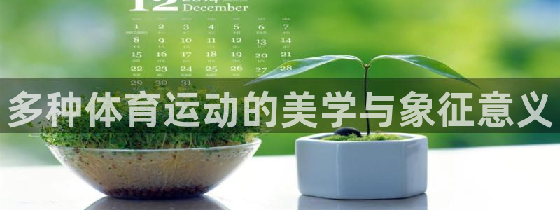 三亿体育：多种体育运动的美学与象征意义
