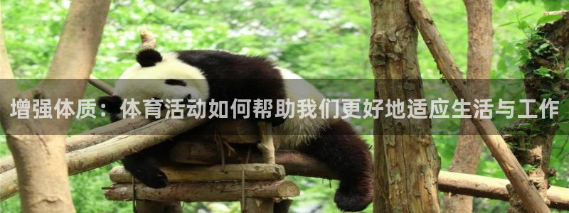 三亿体育：增强体质：体育活动如何帮助我们更好地适应生活与工作